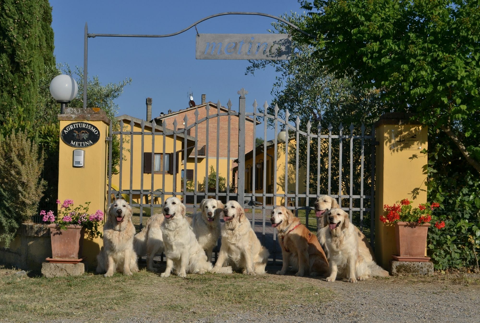 Agriturismo Metina Acquaviva  Екстер'єр фото